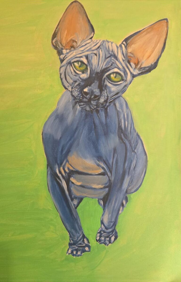 Hairless 40x50cm €85