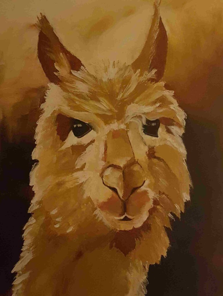 Alpaca, 40x50cm oil on canvas, €75